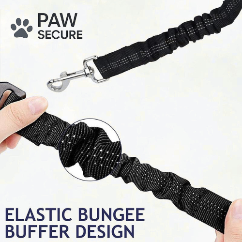 PawSecure