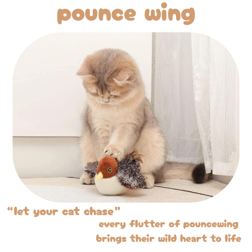 PounceWing