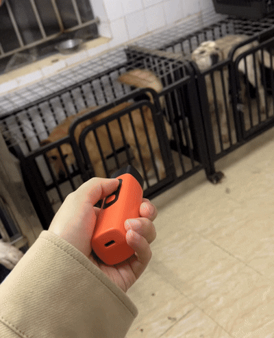 QuietGuard Ultrasonic Dog Bark Control